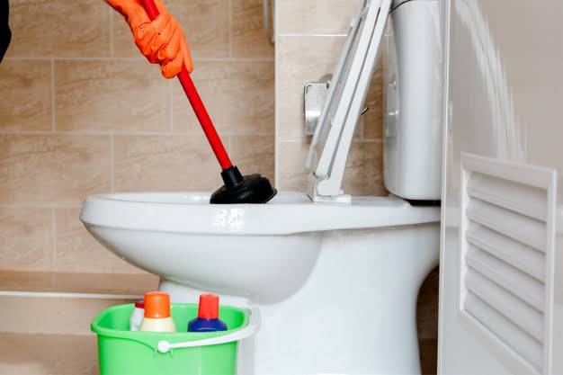 Toilet & Bathroom Cleaning 