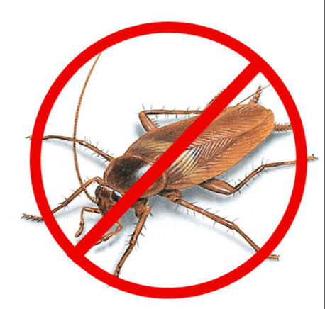 Cockroach Control